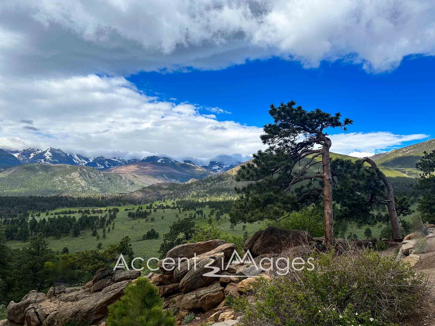 340.Trail Ridge Rd in Rocky Mountain Natl Park -CO
