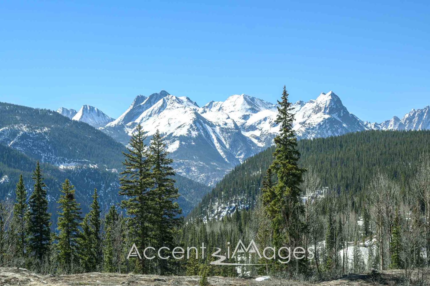 406.San Juan Mtns-W Needle