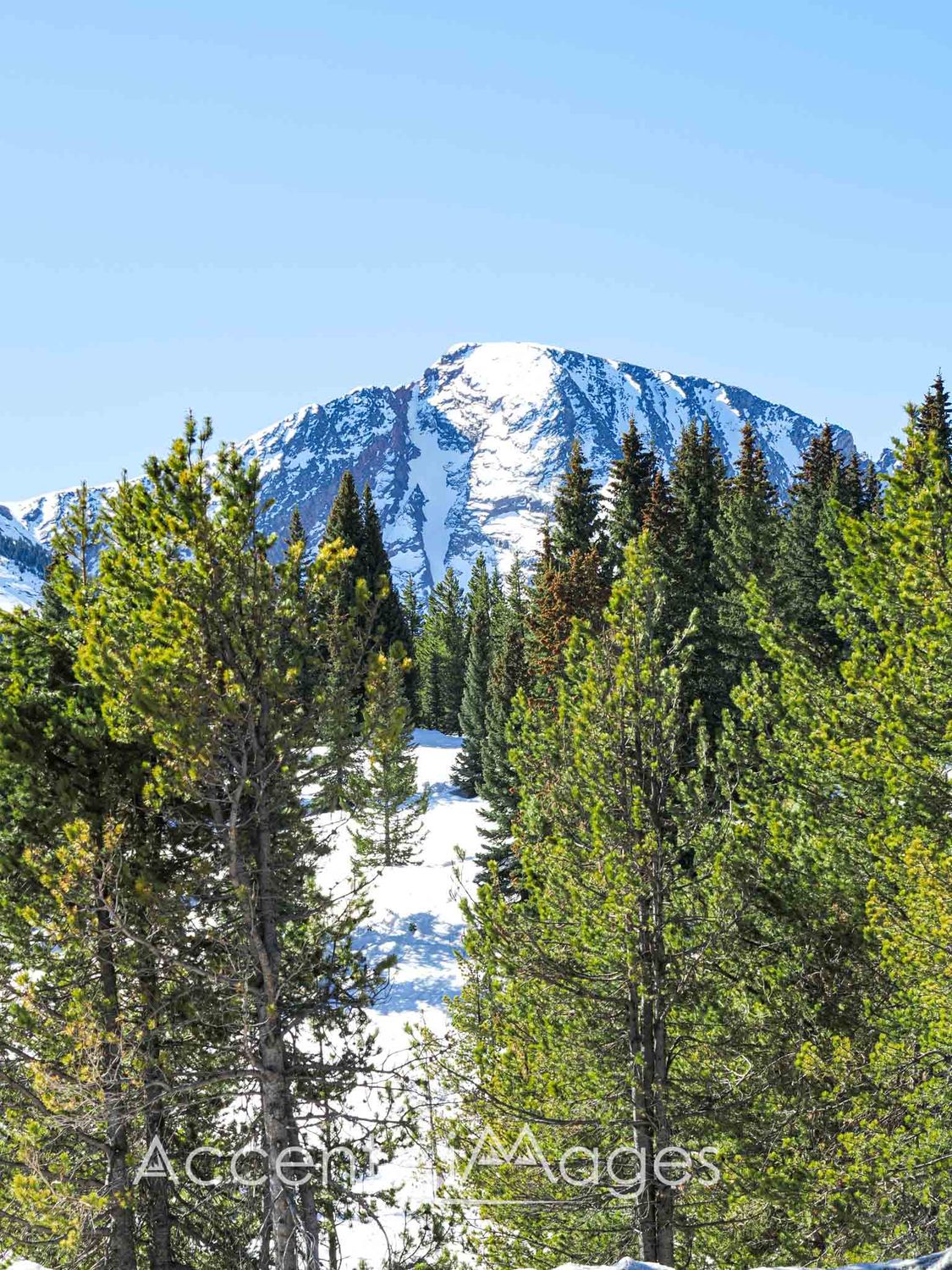 410.San Juan Mtns-W Needle
