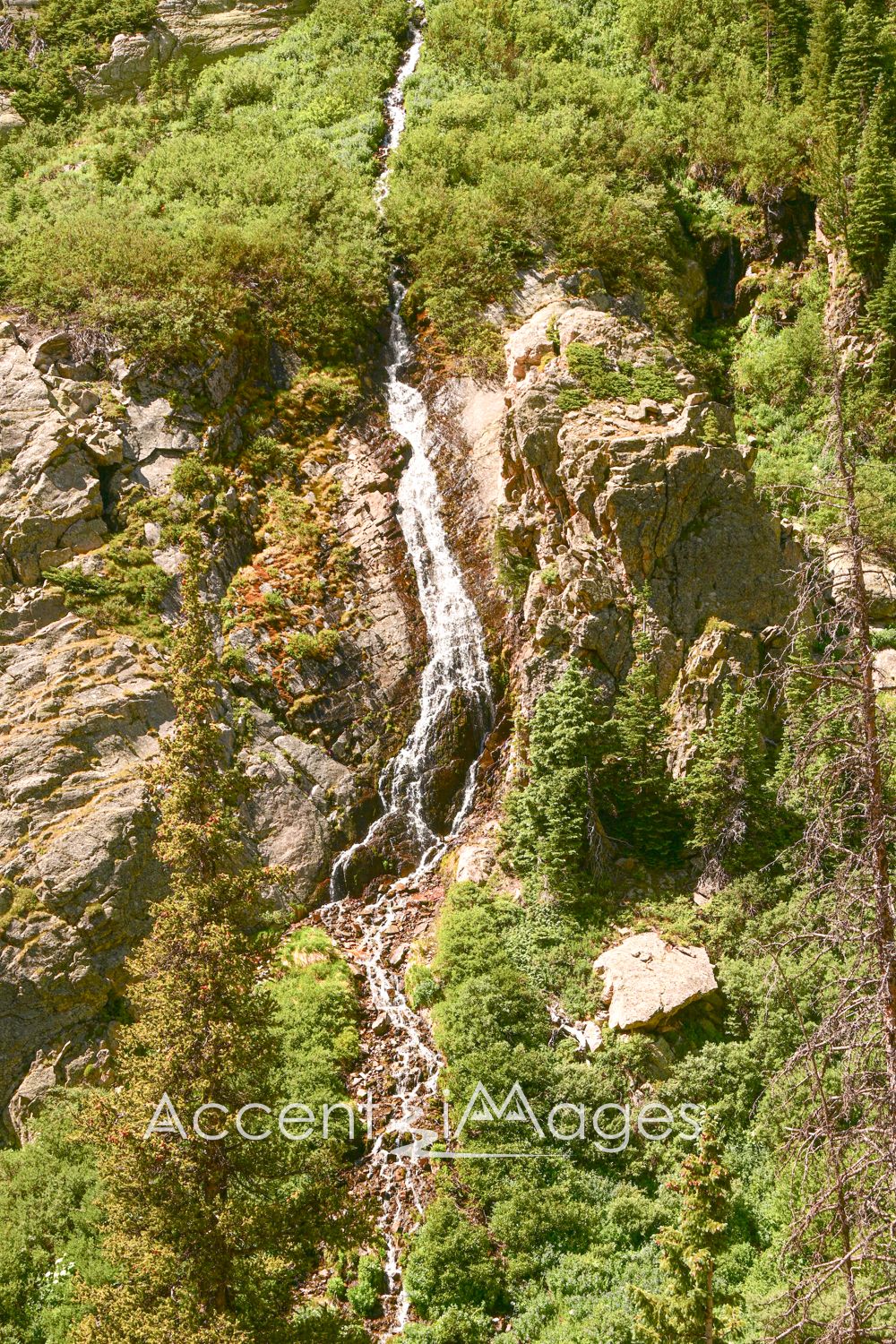 464.Fall River Rd Waterfall at Rocky Mtn Natl Park