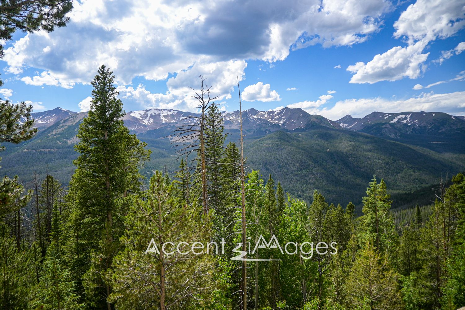 494.Trail Ridge Rd -Rocky Mountain Natl Park