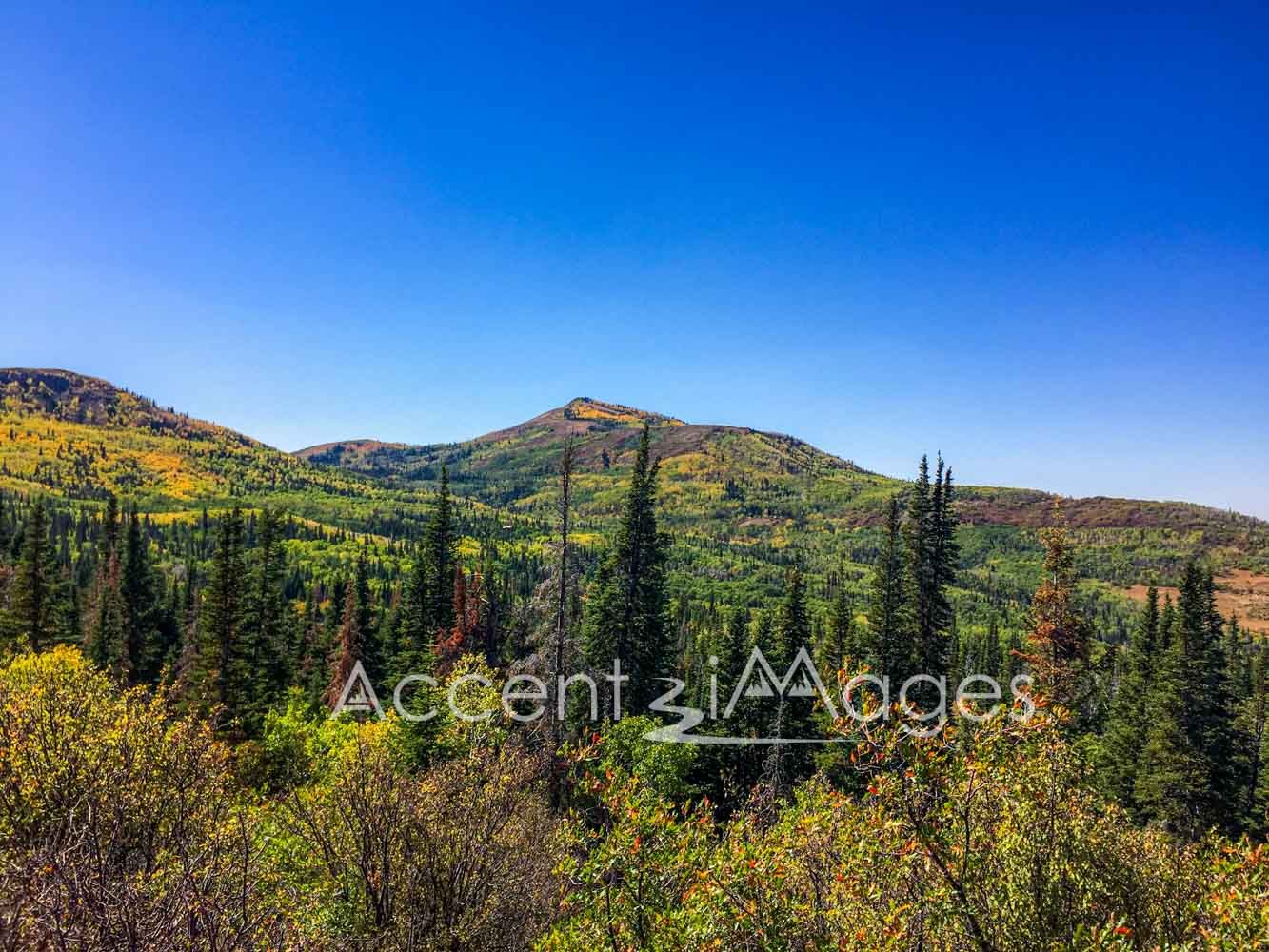 214.Fall on Bakers Peak Mountain