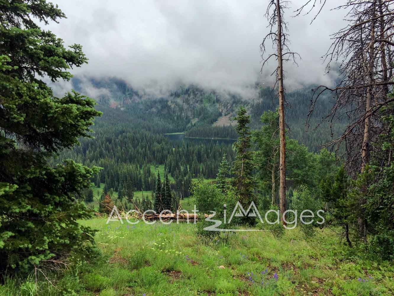 202.Battle Mountain Pass WY
