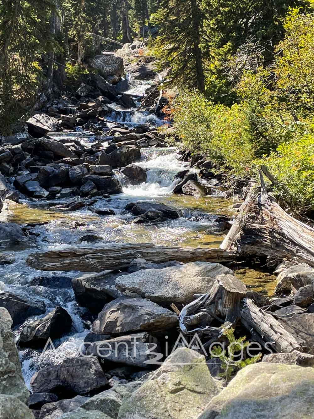 255.Cascades at Jenny Lake -Tetons