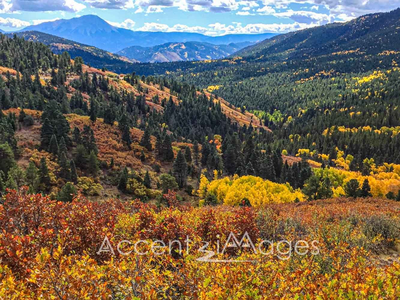 408.Splendid Fall on the Peak