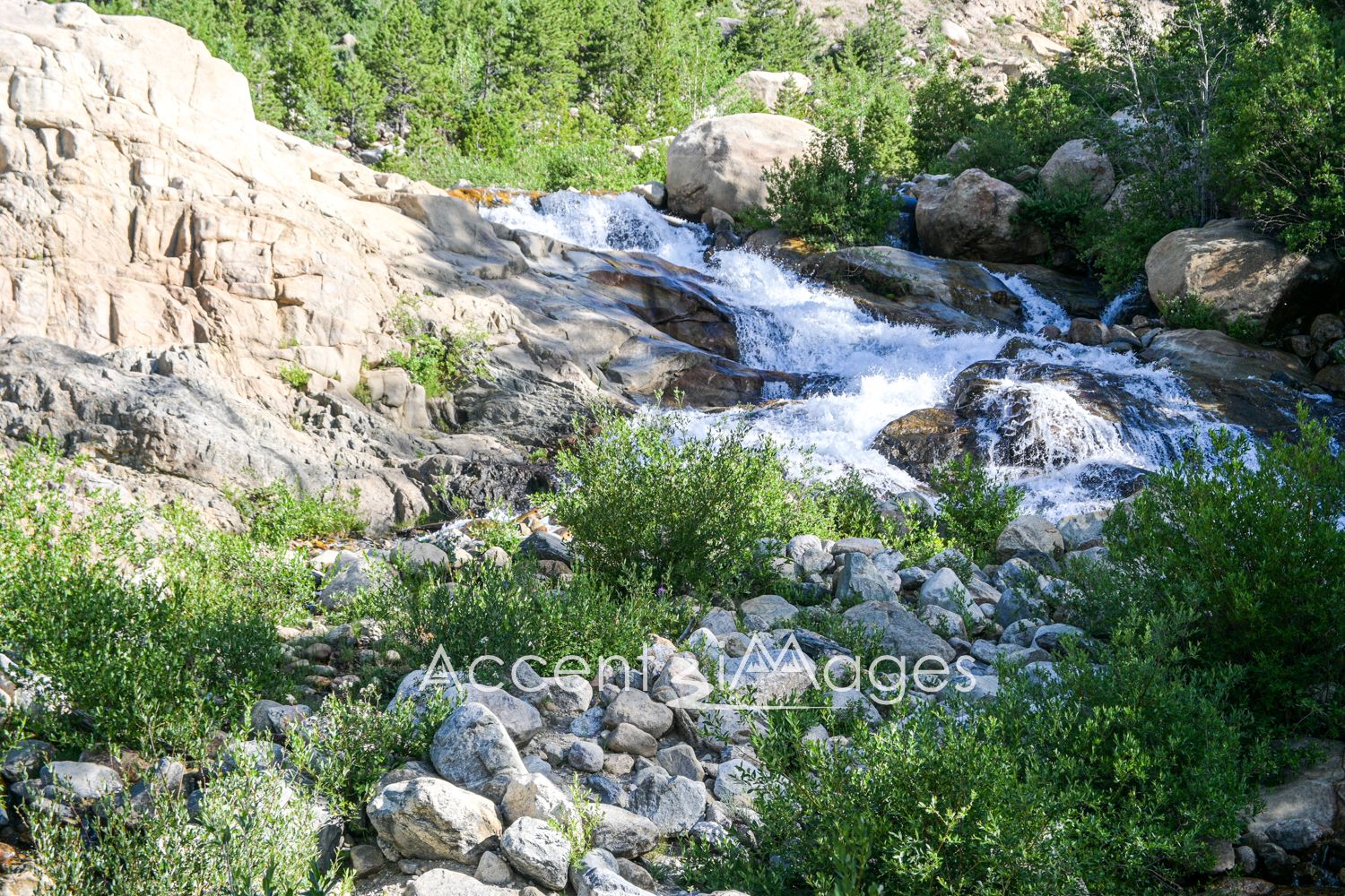 469.RMNP-Alluvial Fan