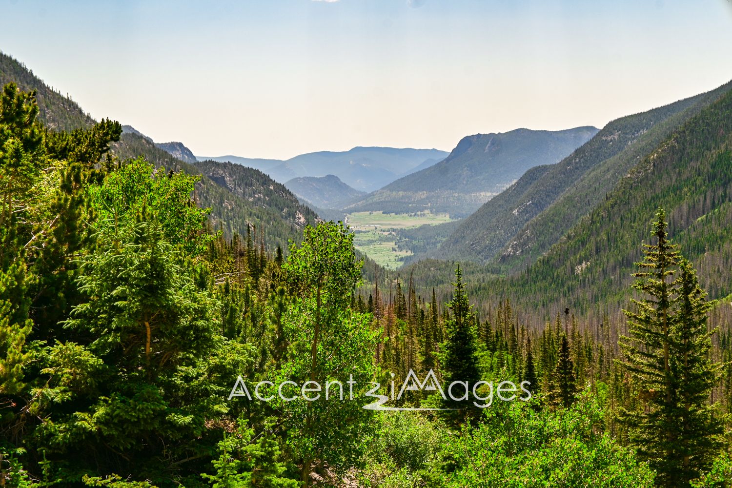 489.RMNP-Fall River Rd