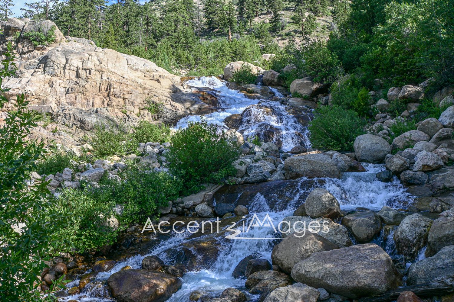 470.RMNP-Alluvial Fan