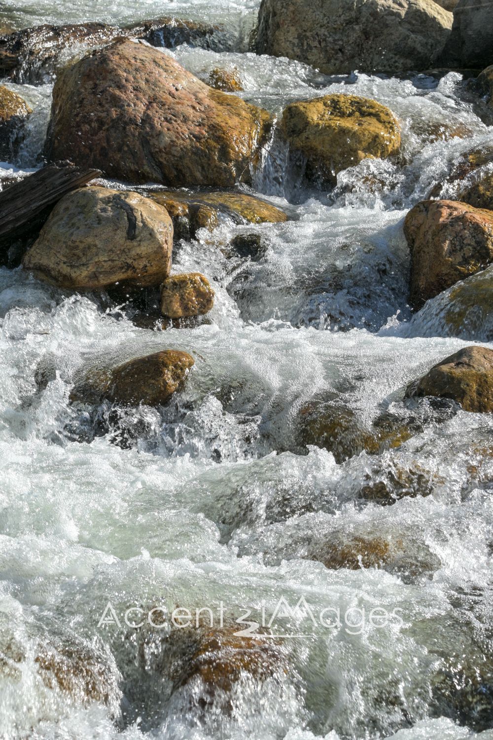 467.RMNP-Alluvial Fan