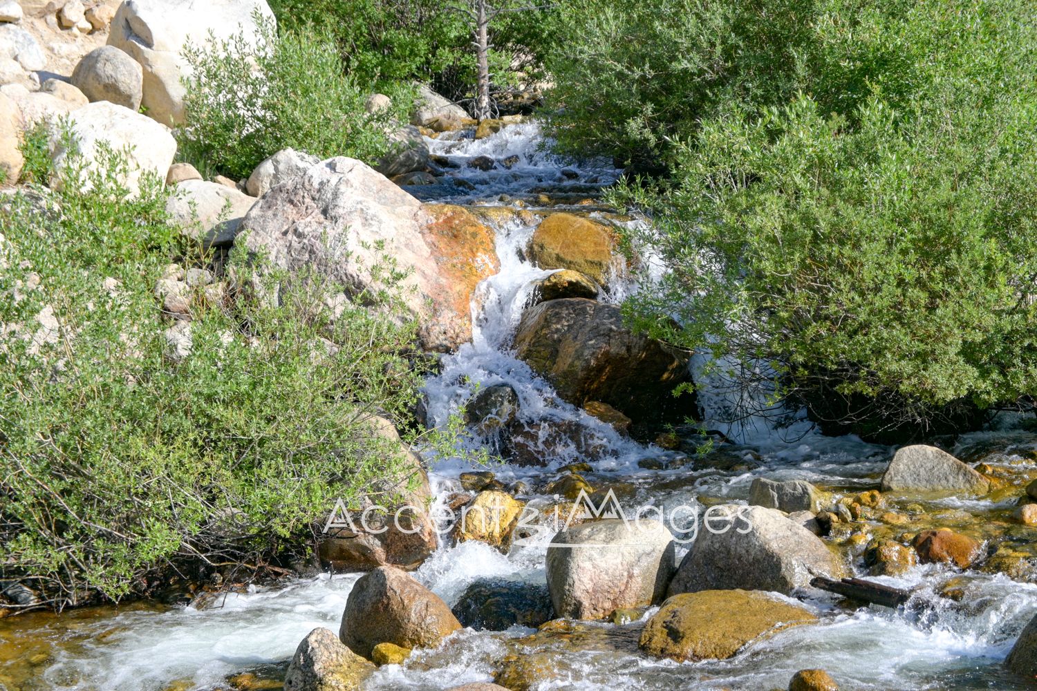 468.RMNP-Alluvial Fan