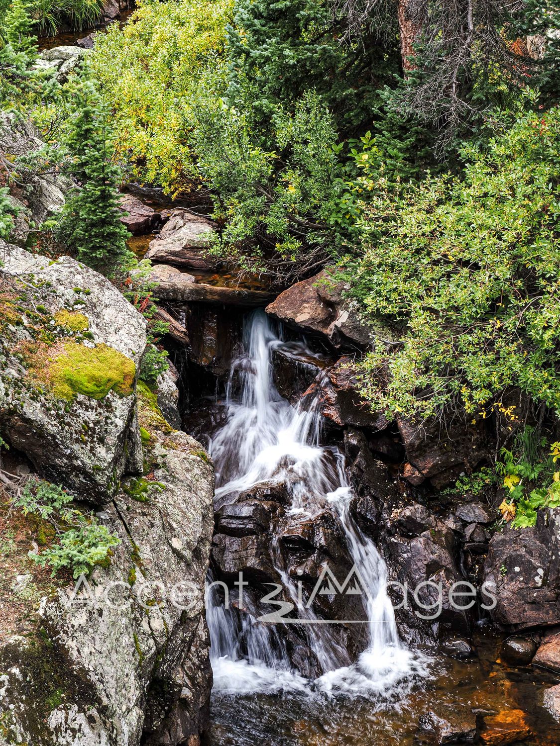 506.Waterfall on Fall River Rd-Rocky Mtn Natl Park
