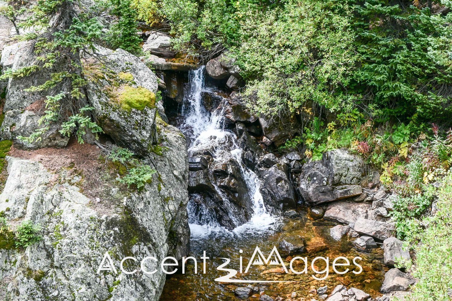 543.Waterfall on Fall River Rd.Rocky Mtn Natl Park