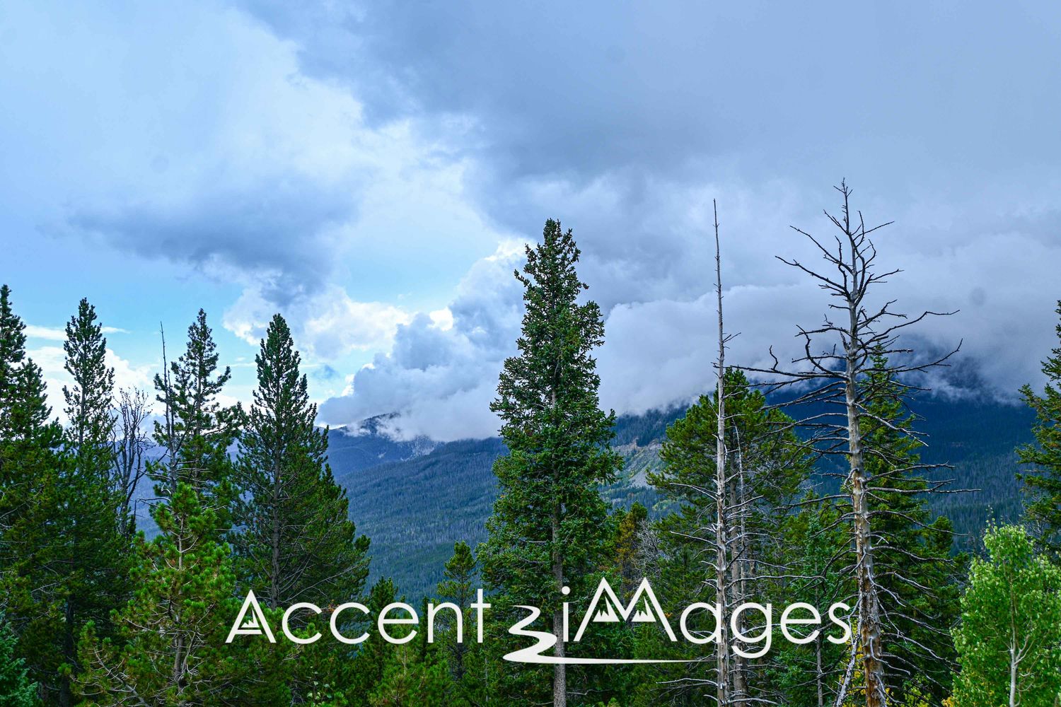 548.Storm Coming on Trail Ridge Rd.Rocky Mtn Natl Park