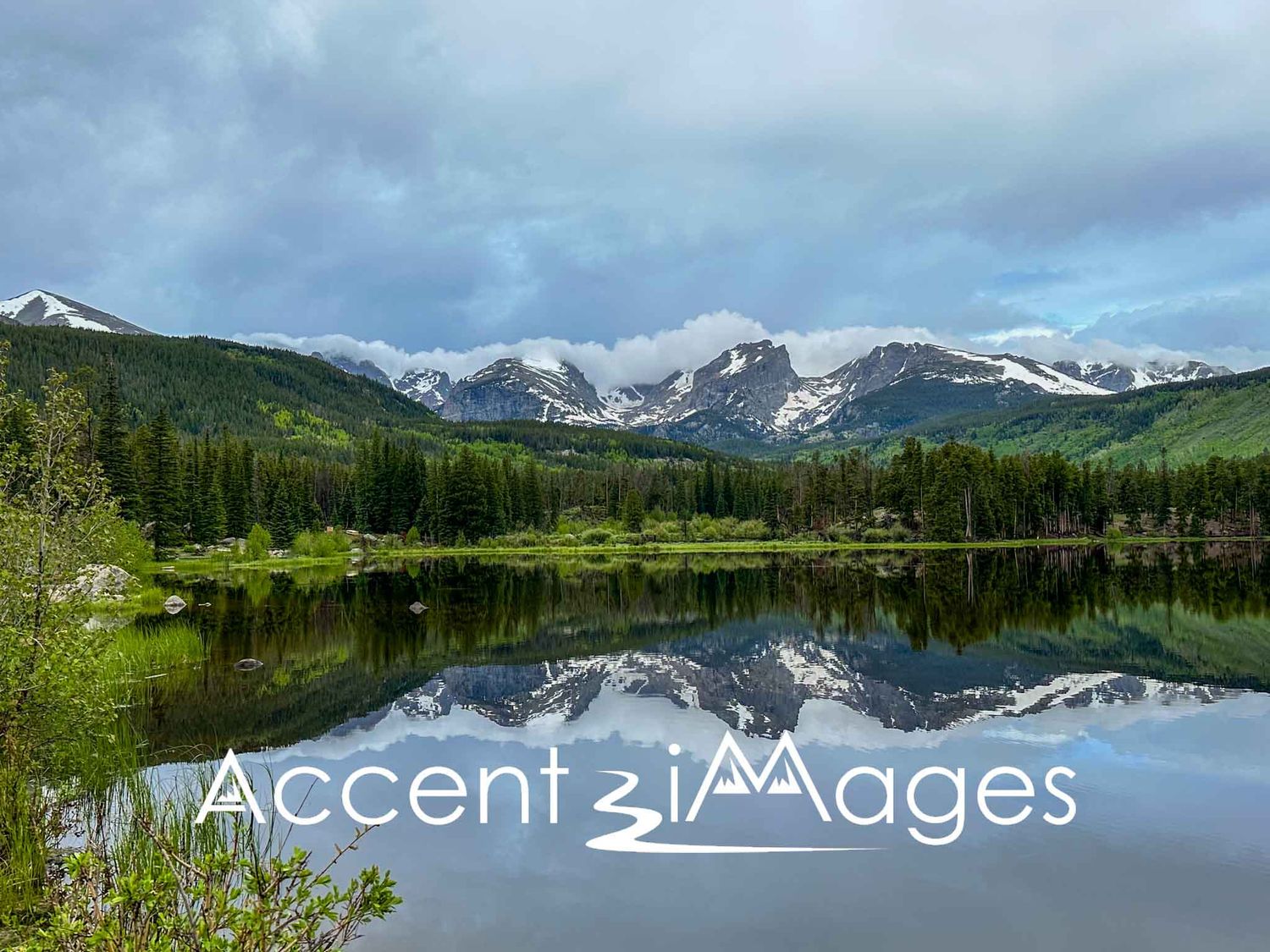 SPANS -Wall Art Collections