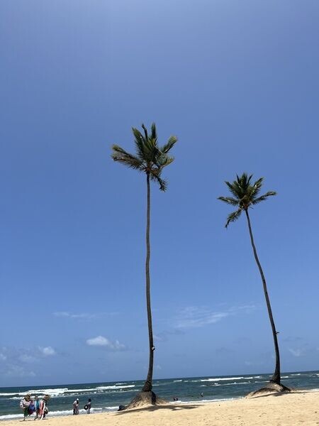 Beaches clothing and wellness