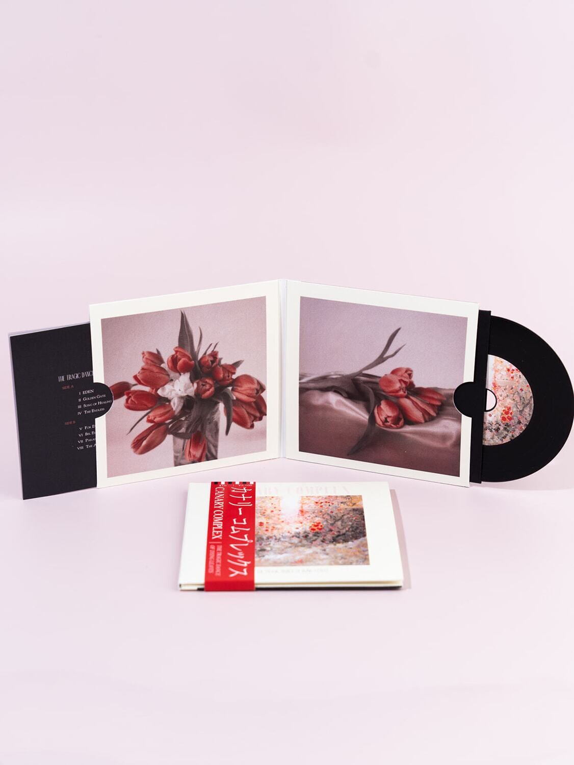 The Tragic Dance of Dying Leaves LIMITED EDITION Gatefold Vinyl CD