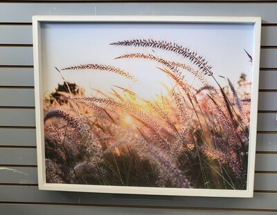 Print-Barley Sunset