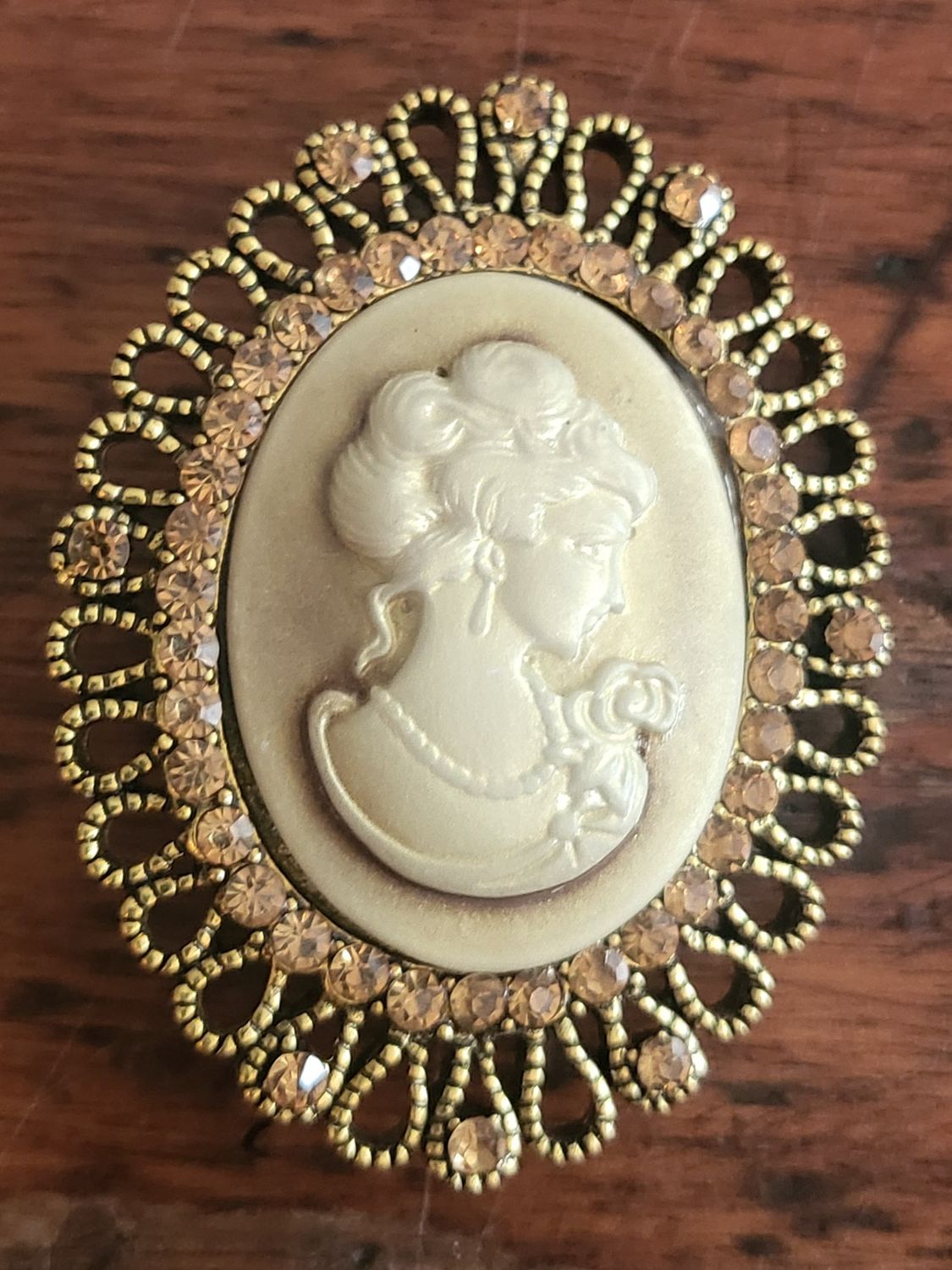 Pin -Victorian Cameo