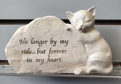 Memorial - Cat