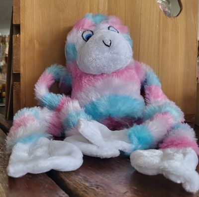 Stuffy - Long Arm Monkey