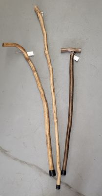 Walking Sticks -  Handcrafted by Randall Bryan Designs