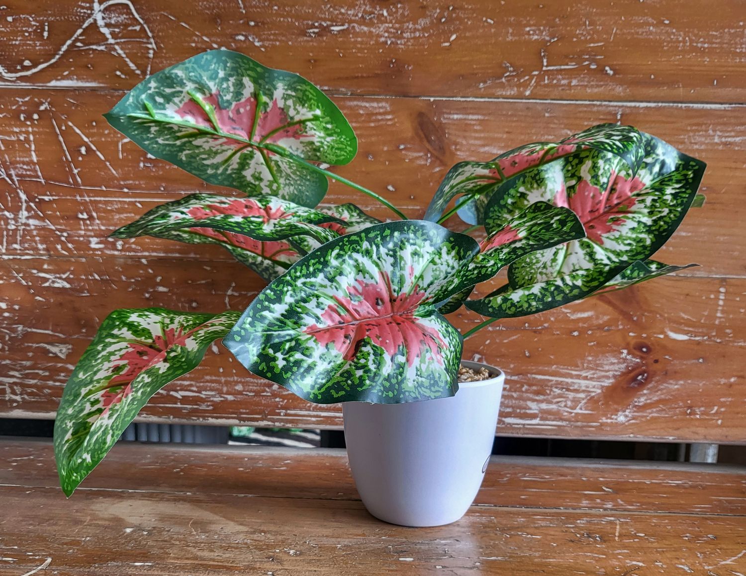 Plant - Pink/Green Leaf - 16&quot;