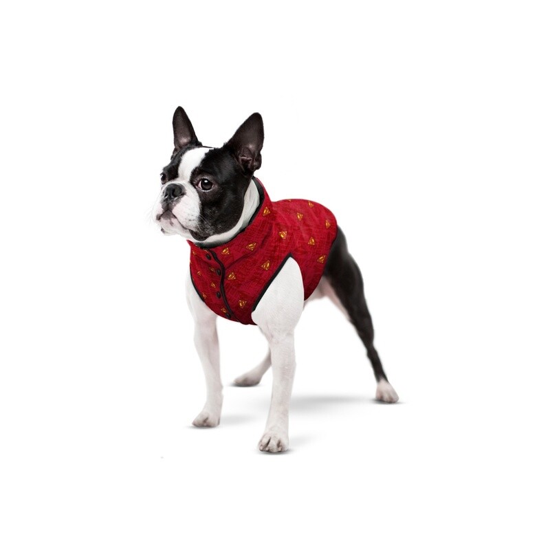 Waudog Jacket Superman Red