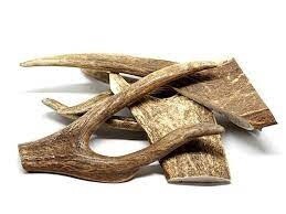 Antler Whole Small
