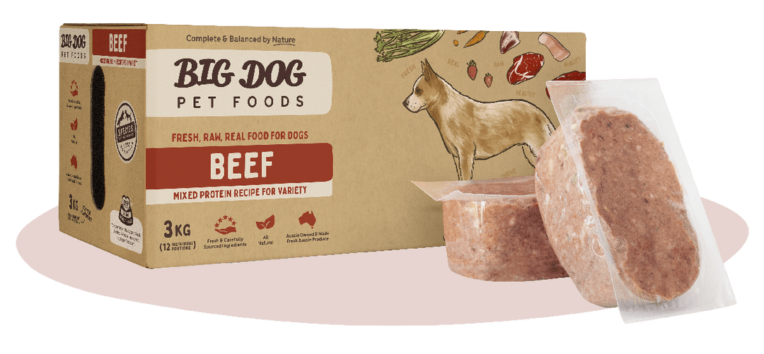 BigDog Beef Raw Food for Dogs