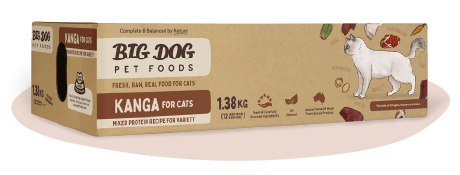 BigDog Kangaroo Raw Food for Cats