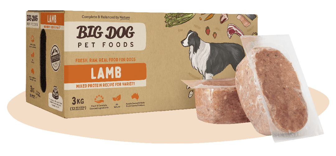 BigDog Lamb Raw Food for Dogs