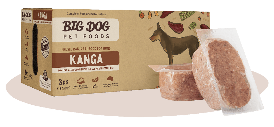 BigDog Kangaroo Raw Food for Dogs