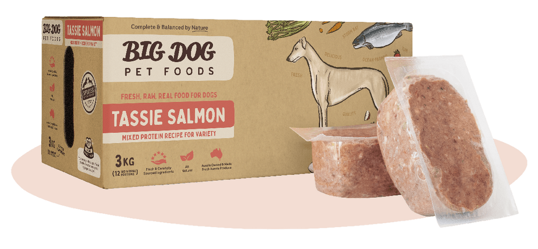 BigDog Tas Salmon Raw Food for Dog