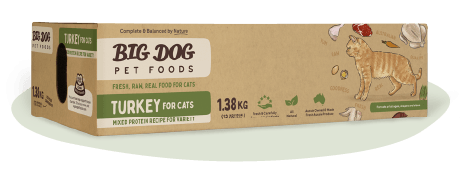 BigDog Turkey Raw Food for Cats