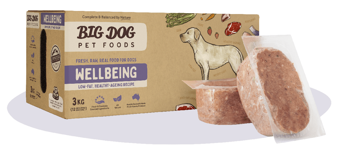 BigDog Wellbeing Raw Food for Dogs