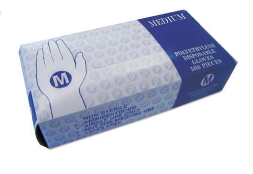 CLEAR POLY GLOVES 500PCS/PER BOX, Sizes: Large