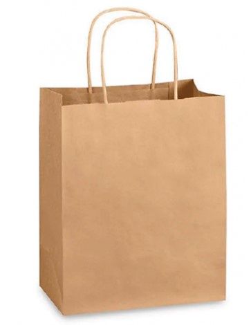 10.25x12x6.7&quot; Paper Bag With Handel 300/cs