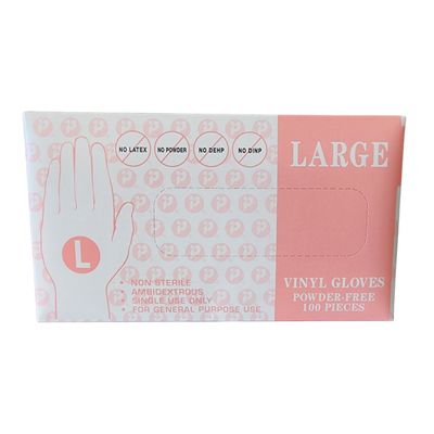 CLEAR Inteplast Vinyl Gloves Powder Free 100pcs/box (10 per case)
