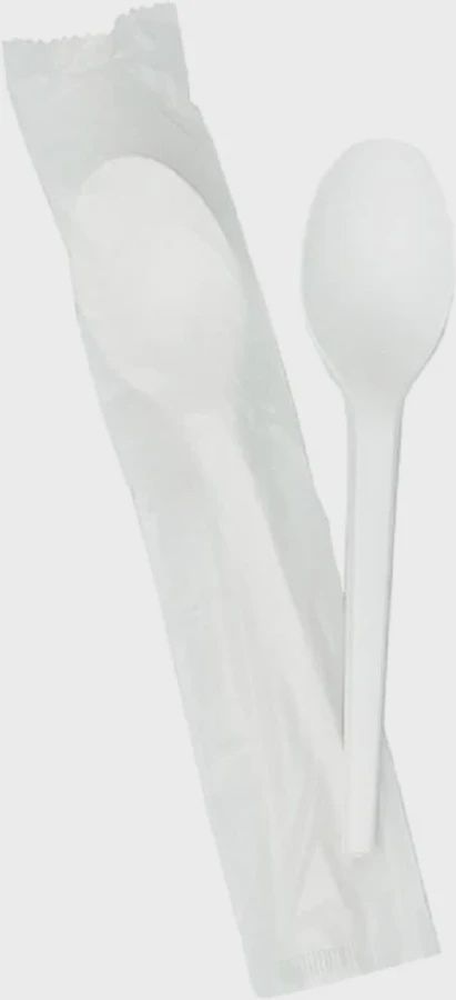 7" PP Individually Wrapped Heavy Duty Plastic Spoon(1000/Case)YMM-RS