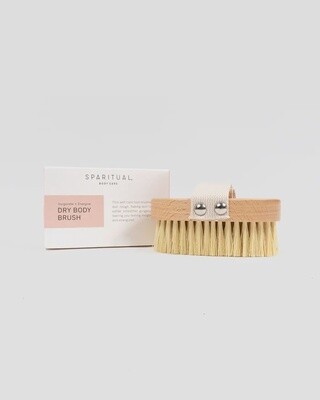 DRY BODY BRUSH
