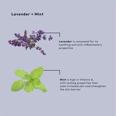 CALMING LAVENDER + MINT 4-IN-1 PACKET BOX SET