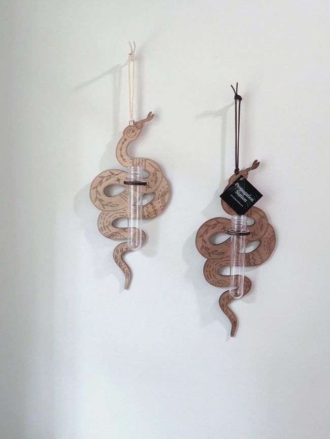Cosmic Snake Wall Propagation Station