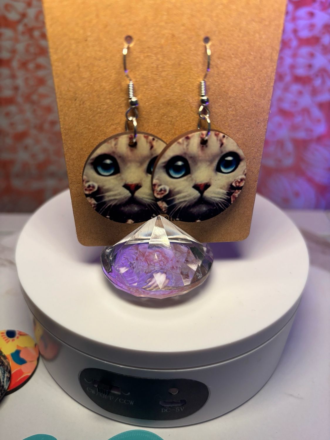 Cat 1 Inch Round Earrings