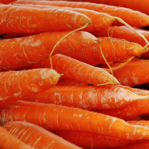 Carrots