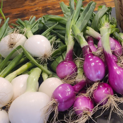 Onions with Greens