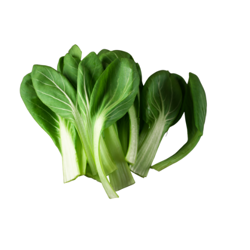 Tatsoi