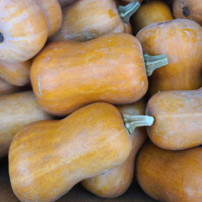 Honeynut Squash