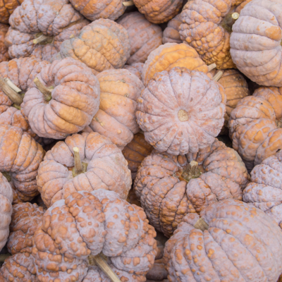 Black Futsu Squash