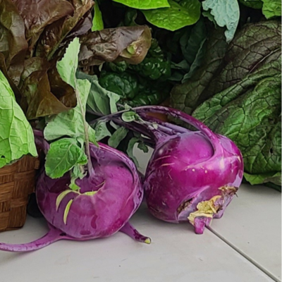 Kohlrabi (Red)