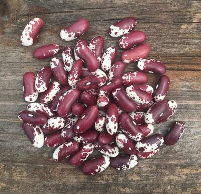 Jacob's Cattle Beans